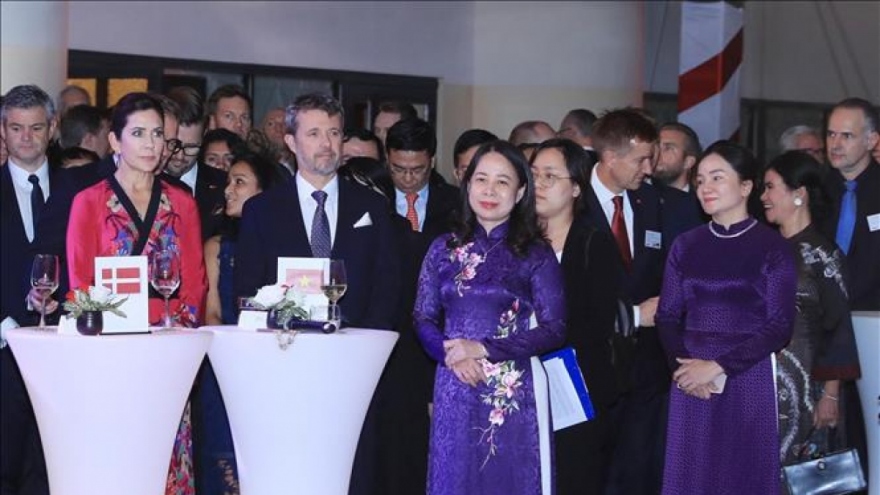 Vietnam, Denmark mark 50 years of bilateral diplomacy in Hanoi